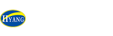 W܇(ch)S